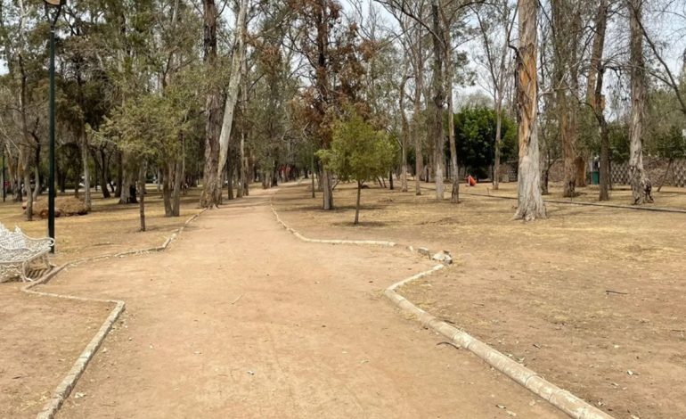  Retiran árboles en riesgo del Parque de Morales
