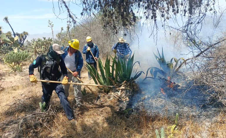  SLP suma 9 incendios activos