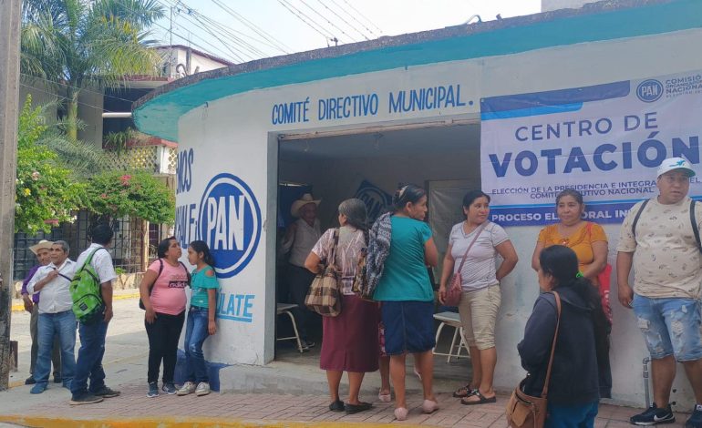  Militantes del PAN exigen que se acate la sentencia del TEPJF