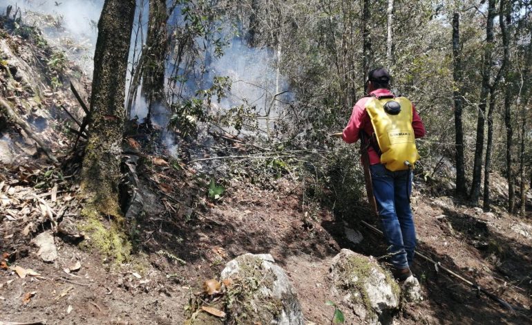  Se reactivó incendio en Xilitla