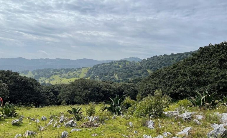  Empresa calera ignora decreto de ANP de Sierra de Álvarez