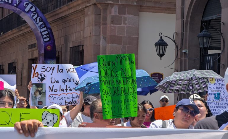  Autoridades reafirman compromiso contra el maltrato animal tras caso Hope