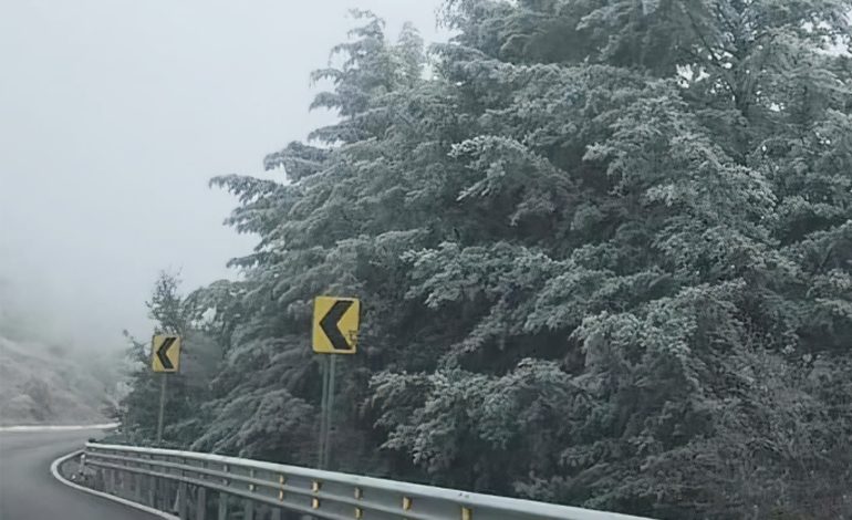  Piden a Gallardo que gestione Programa de Manejo de la Sierra de Álvarez