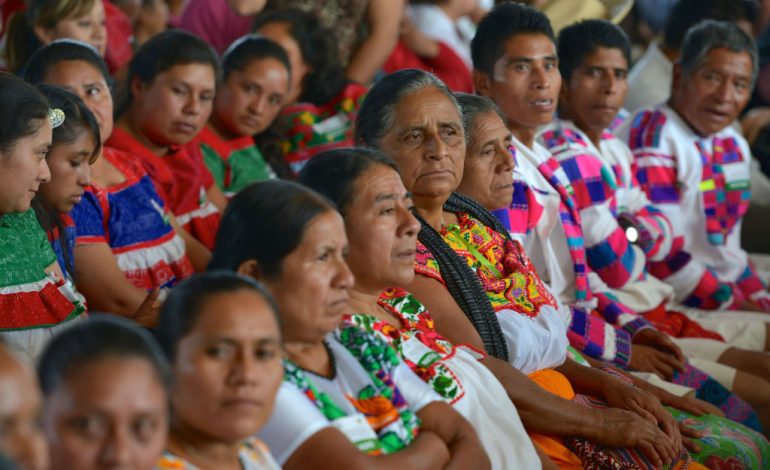  Federación intenta usar a comunidades indígenas como “voto cautivo”: OIM