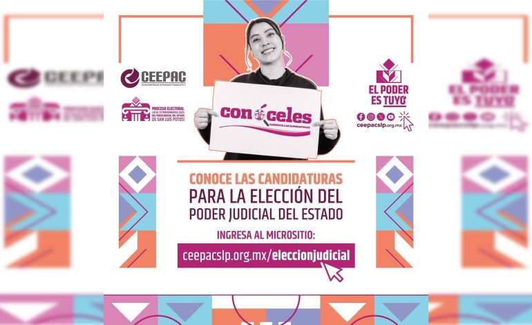  Tres candidaturas judiciales de SLP incumplen con plataforma “Conóceles”