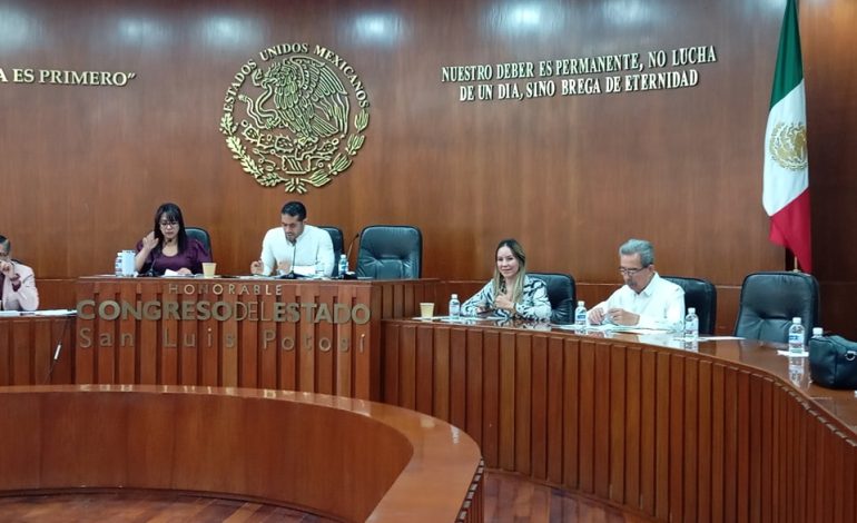  Comisión aprueba exhortos para proteger territorio de Corcovada