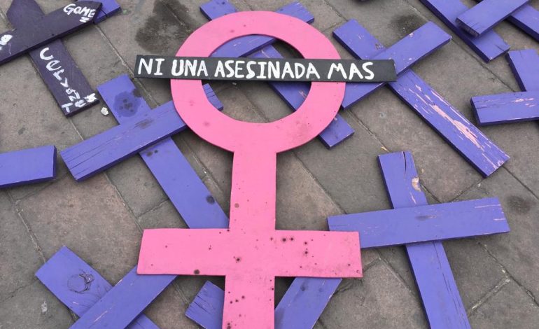  Feminicidio en SLP, un 14M en deuda permanente con las mujeres asesinadas