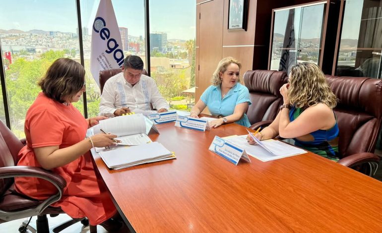  En incertidumbre el destino de la CEGAIP, afirma comisionado