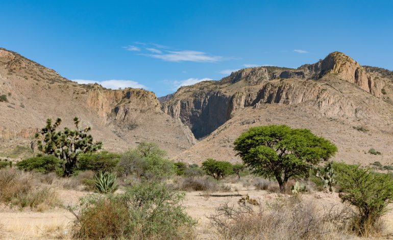  Procurador Agrario llama a intensificar el activismo para proteger la Sierra de San Miguelito