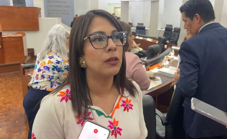  Diputada analiza denunciar por violencia política de género tras especulaciones sobre su vida privada