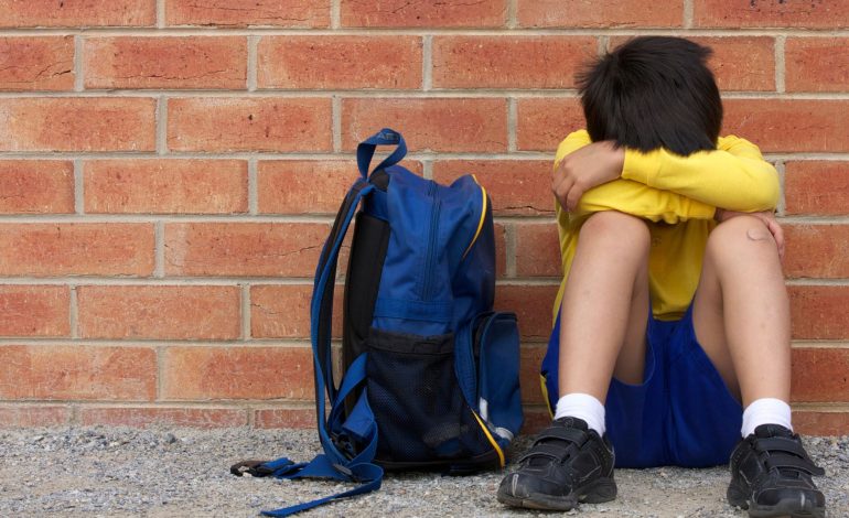  El acoso escolar en SLP: cuando las aulas se vuelven escenarios de violencia