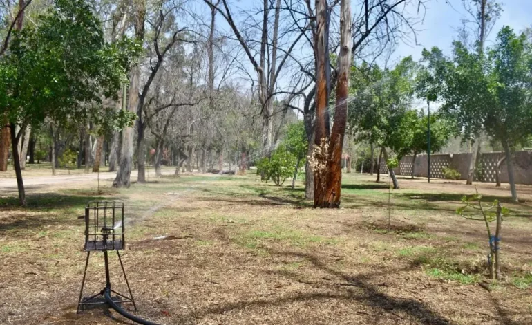  Galindo buscará derribar amparo para reactivar rehabilitación del Parque de Morales