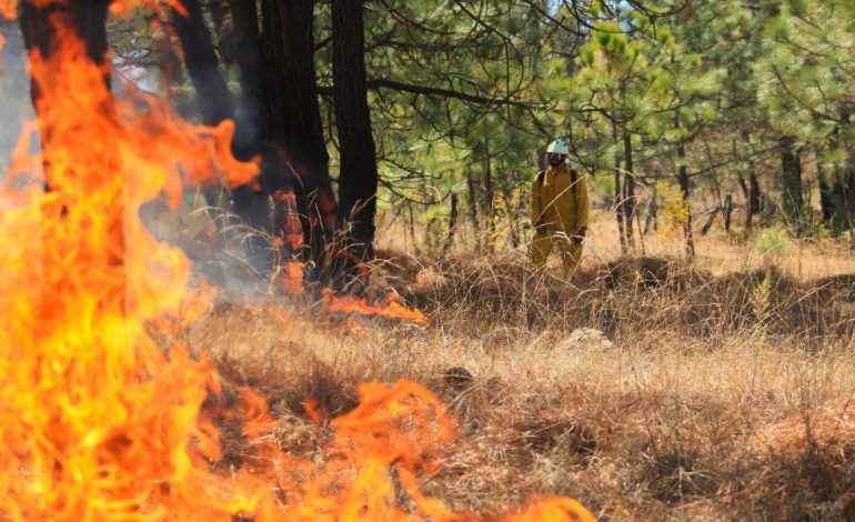  Congreso de SLP endurece penas contra quienes provoquen incendios