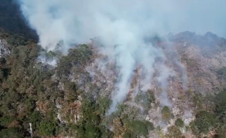  776 hectáreas afectadas dejaron los cuatro incendios forestales registrados en SLP