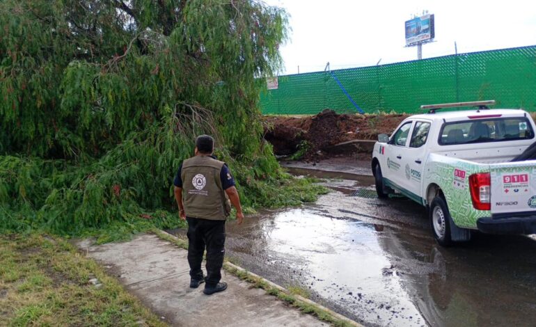  Charcas y Moctezuma, los municipios más afectados por el ciclón Alvin
