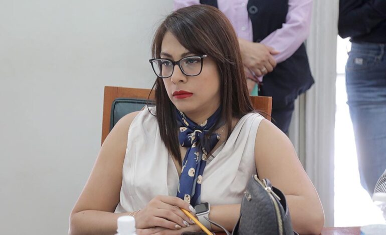  “Quien quiera alianza, debe respetar nuestros lineamientos”, advierte diputada de Morena