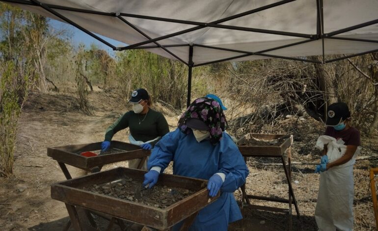 La crisis de desaparición en SLP y la necesidad de una Fiscalía Especializada | Tercer capítulo: zona Media