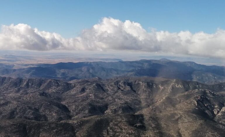  Anuncia gobierno reforestación masiva en Sierra de San Miguelito