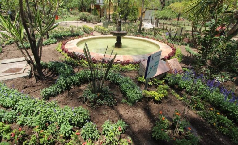  Juzgado ordena cancelar proyecto del Parque de Morales hasta realizar consulta ciudadana