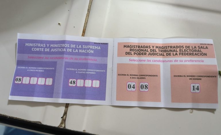  Personal de Sedesore entrega “acordeones” durante el proceso electoral de SLP