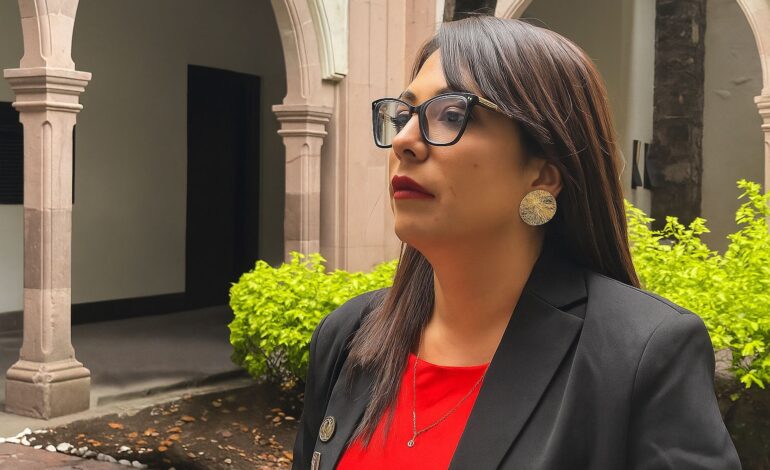  Llama diputada a no criminalizar a la madre en caso de agresión infantil en SLP