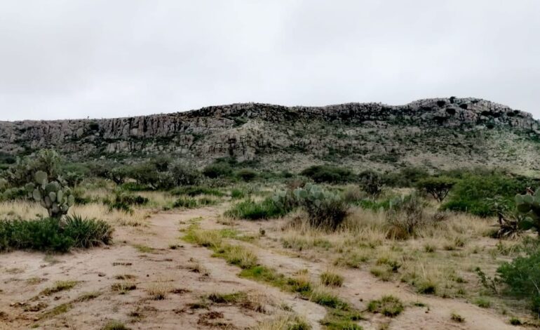  En julio comienzan reforestaciones ciudadanas en la Sierra de San Miguelito