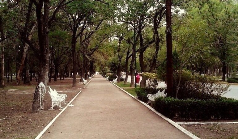  Ayuntamiento denuncia daños provocados por Seduvop en el Parque de Morales