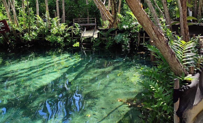  Con turismo de naturaleza, se buscará impulsar el desarrollo económico de pueblos indígenas