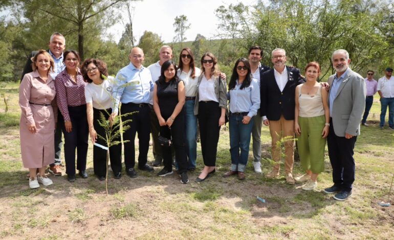  Piden a autoridades que se audite y castigue la plantación de especies exóticas