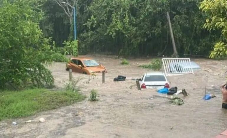  Comercios en la Huasteca sufrieron graves afectaciones por las lluvias: Canaco