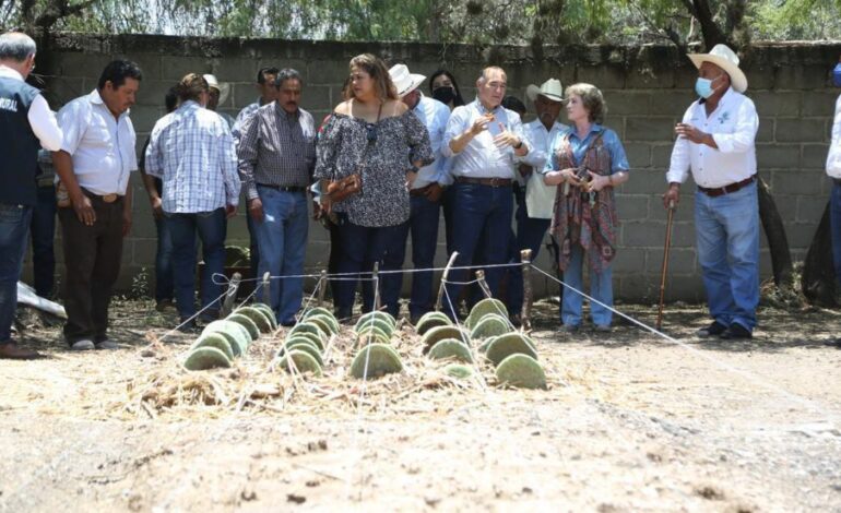  Mal estado de caminos impacta al sector agrícola, afirma alcalde capitalino