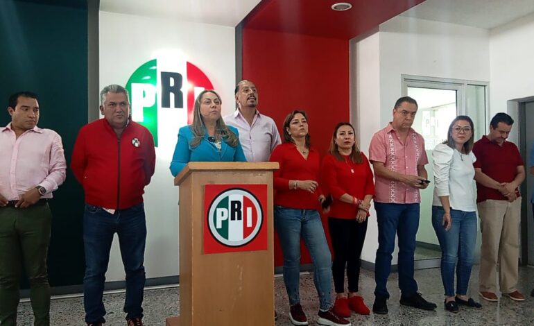 Sara Rocha impugnará resolución de Sala Regional en caso de violencia política de género