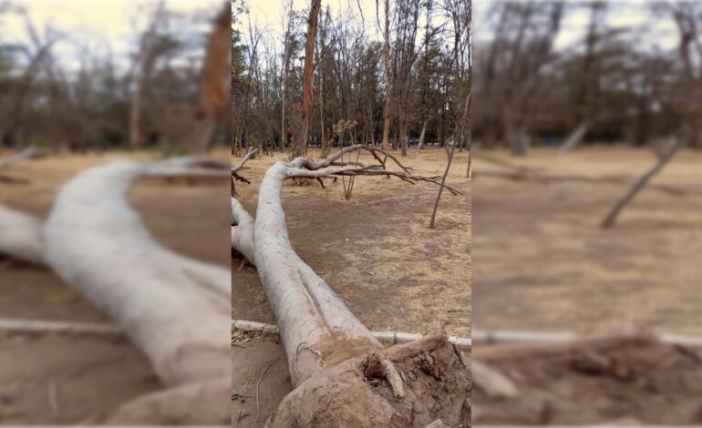  Galindo anuncia nueva política ambiental para el Parque de Morales