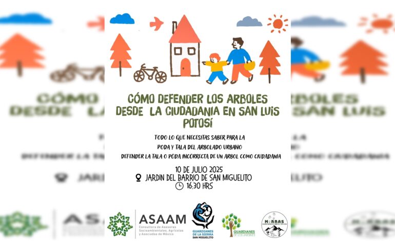  Convocan a taller para la conservación de árboles urbanos