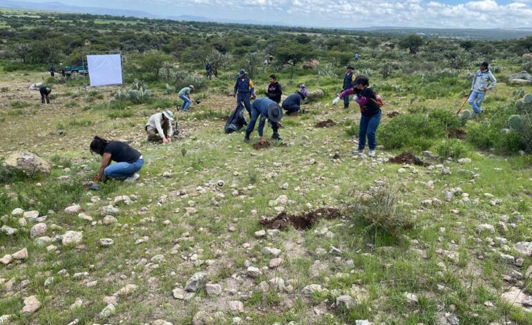 Sembrando plantas… y consciencia
