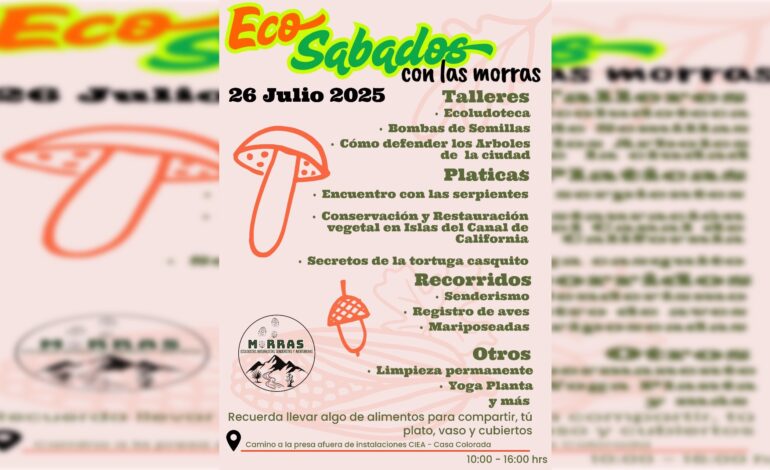  Invitan a participar en el próximo “Eco sábado con las morras”