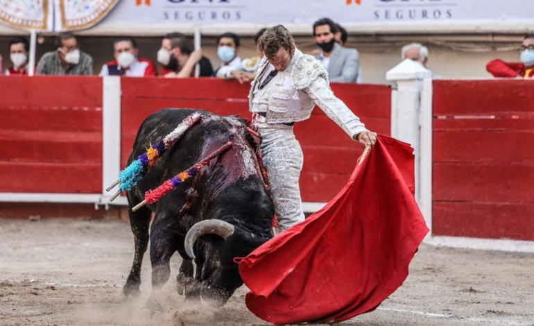  Colectivos rechazan sentencia que permite ingreso infantil a corridas de toros