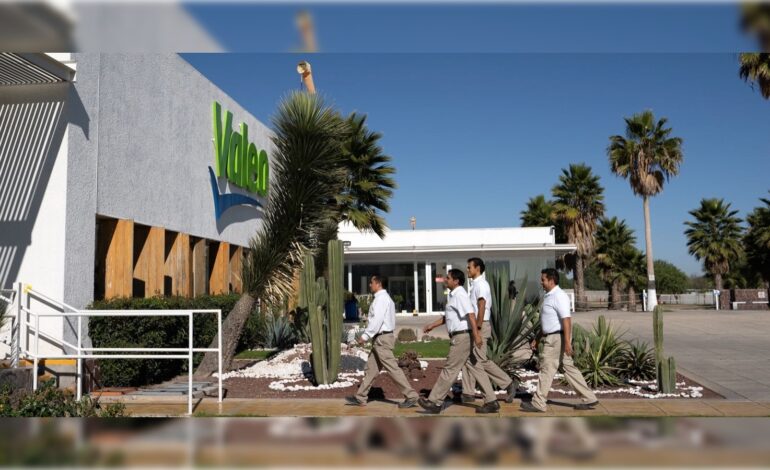  Ex trabajadores de Valeo SLP protestan por el impago de utilidades de 2016