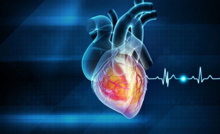  Más de 5 mil personas murieron por enfermedades del corazón en SLP durante 2024: INEGI