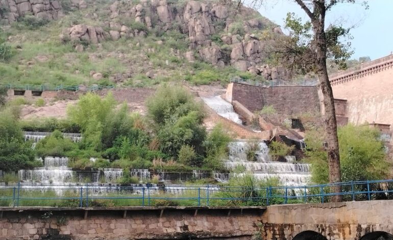  Derrame de la presa San José permitió retirar una parte del lirio acuático