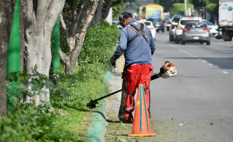  Vuelven a pintar de verde guarniciones en Himno Nacional