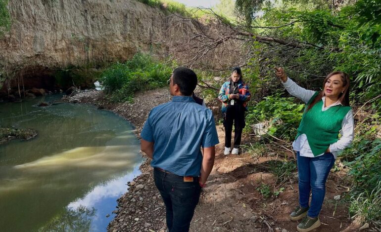  Agenda verde carece de vinculación con el gobierno federal y la ciudadanía: colectivos