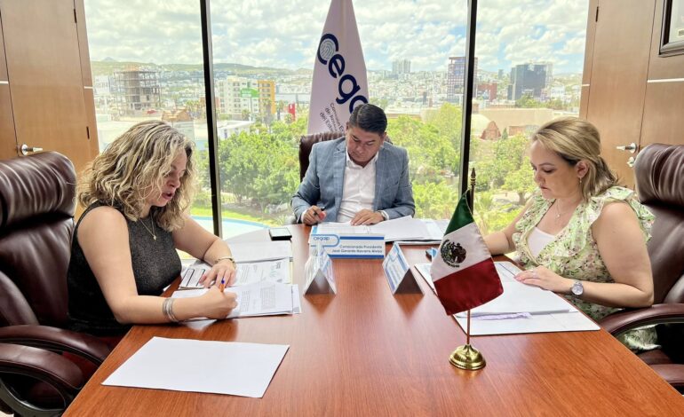  CEGAIP opera en opacidad y con solo dos comisionados