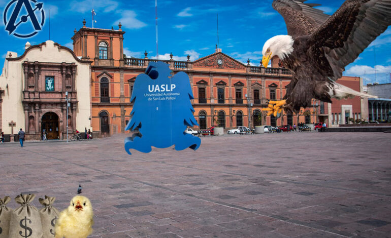  Despertar Universitario