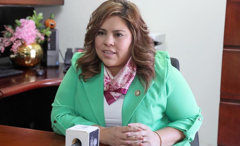  Congreso esperará lineamientos federales sobre extinción de la CEGAIP: diputada