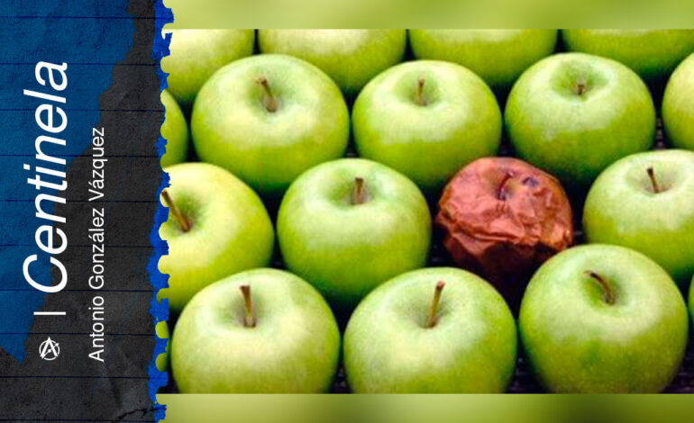 Una manzana podrida