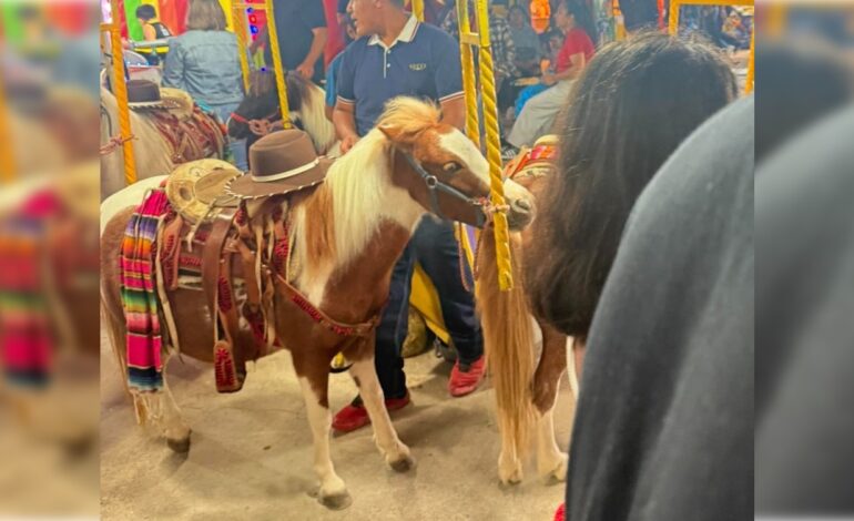  Asociación civil denuncia maltrato animal en atracción infantil de la Fenapo