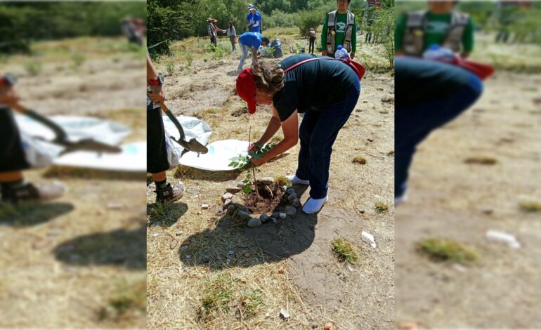  Por iniciativa ciudadana realizan reforestación en el río Paisanos