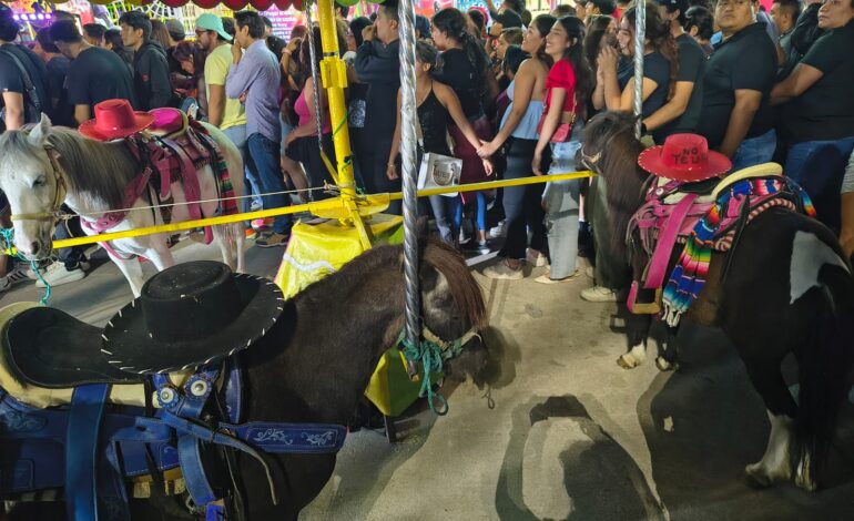  Colectivos animalistas rechazan acuerdos con el Patronato de la Fenapo