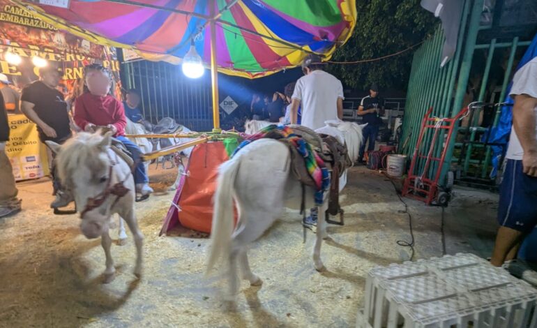  Denuncian ante la FGE negligencia y maltrato animal en la Fenapo